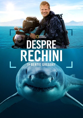 Sharks Up Close with Bertie Gregory