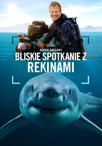 Bertie Gregory: Bliskie spotkanie z rekinami