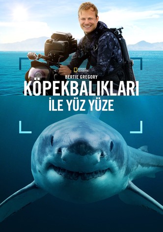 Bertie Gregory Köpekbalıkları ile Yüz Yüze