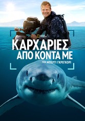 Καρχαρίες από Κοντά με τον Μπέρτι Γκρέγκορυ.