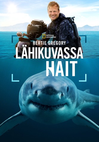 Bertie Gregory - lähikuvassa hait