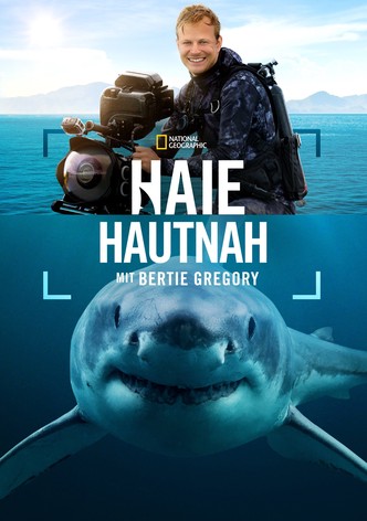 Haie hautnah mit Bertie Gregory