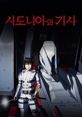 시도니아의 기사