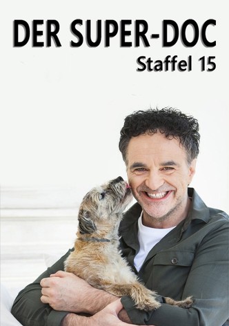 Staffel 15
