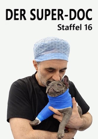 Staffel 16
