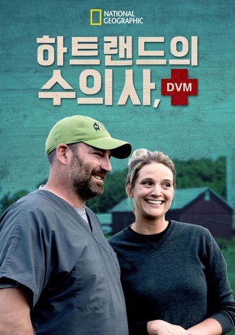 하트랜드의 수의사, DVM