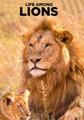 Life Among Lions