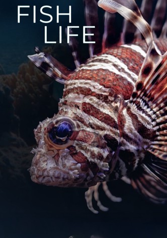 Fish Life - Season 1