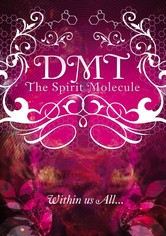 DMT: The Spirit Molecule