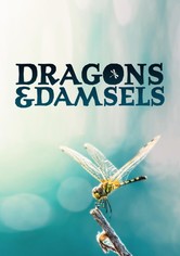 Dragons and Damsels