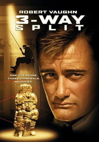 Der Millionen Dollar Coup