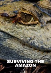 Surviving the Amazon