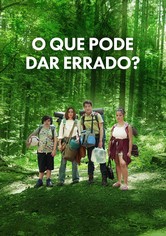 O Que Pode Dar Errado?