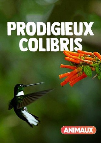 Super Hummingbirds