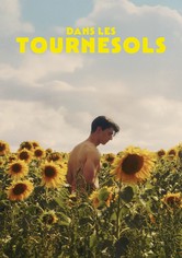 Dans les tournesols