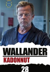 Wallander: Kadonnut