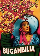 Bugambilia