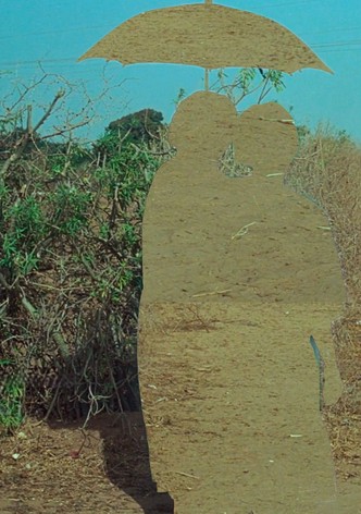 Mascon: A Massive Concentration Of Black Experiential Energy