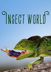 Insect World