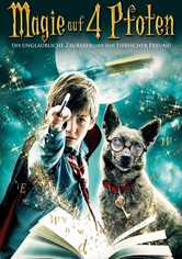 Magie auf 4 Pfoten