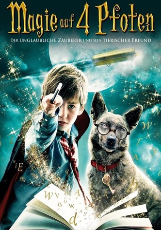 Magie auf 4 Pfoten