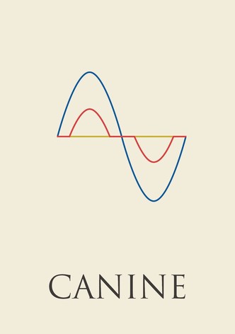 Canine