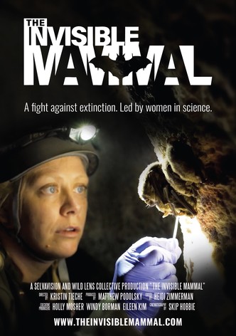 The Invisible Mammal