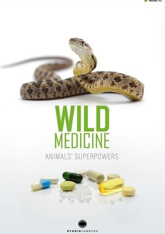 Wild Medicine: Animals' Superpowers