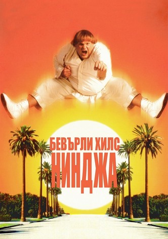 Бевърли хилс нинджа