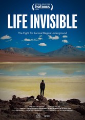 Life Invisible