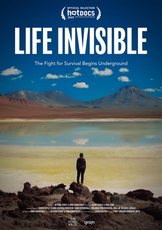 Life Invisible