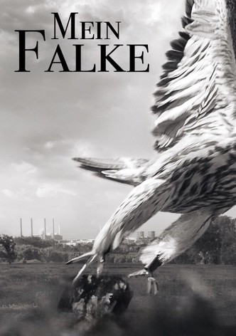 Mein Falke