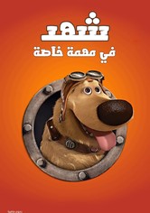 شهد في مهمة خاصة