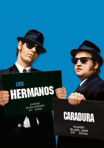 Blues Brothers 2000 (El ritmo continúa)