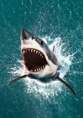 Air Jaws: The Hunt for Colossus