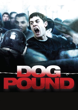Dog Pound (La perrera)