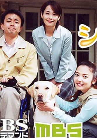 Cynthia: Kaijoken Tanjou Monogatari