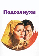 Подсолнухи