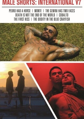 Male Shorts: International V7