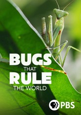 Bugs That Rule the World