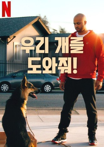 우리 개를 도와줘!