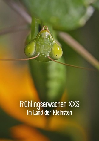 Frühlingserwachen XXS - Im Land der Kleinsten