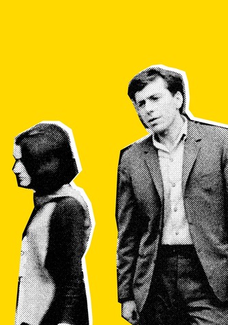 Il était une fois un merle chanteur