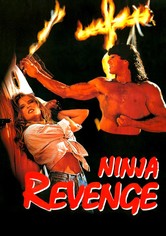 Ninja Vengeance