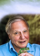 Kurioses aus der Tierwelt