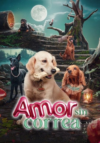 Amor Sin Correa