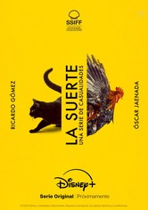 Sorte: Uma série de coincidências