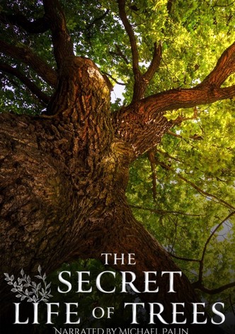 The Secret Life of Trees