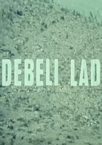 Debeli lad