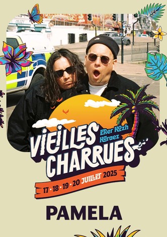 Pamela en concert aux Vieilles Charrues 2025